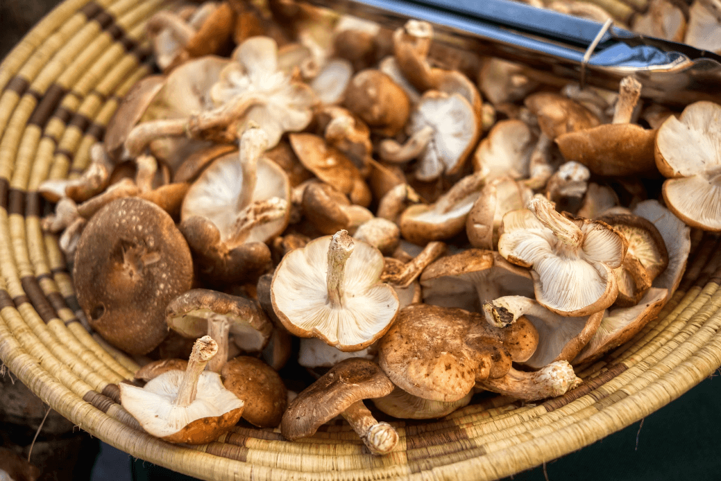 ### 🍄 Pilze (z. B. Champignons, Shiitake)